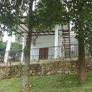 Lavender Hills *** Kandy
